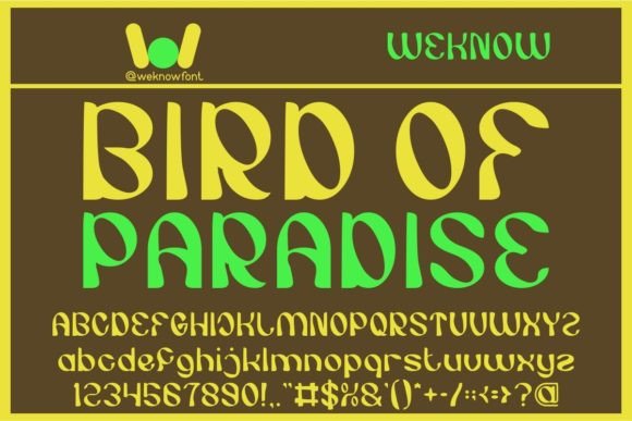 Bird of Paradise Font: Bold, Memorable Display Typography for Marketers